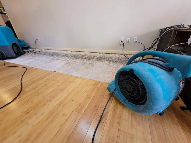Professional Burst Pipe Water Damage technician working in Johns Island, SC
